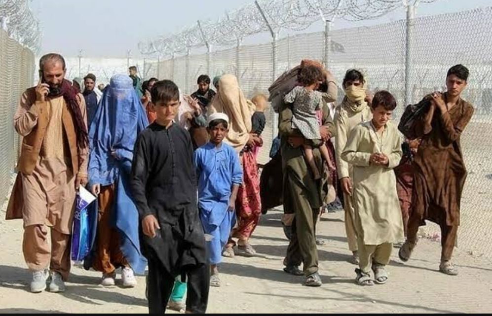 افغان شہریوں کے لیے بڑی خوشخبری، ملک بدر نہ کرنے کا فیصلہ