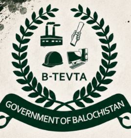 شباب اور روزگار کا نیا انقلاب، حکومت کے ایک فیصلے نے صوبے بھر کے طلبہ کی قسمت بدل دی