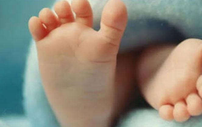 کوئٹہ، سول اسپتال میں جڑواں بچوں کی پیدائش کا دعوی بے بنیاد، انکوائری رپورٹ جاری