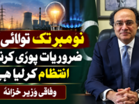 نومبر تک توانائی کی ضروریات پوری کرنے کا انتظام کرلیا، وفاقی وزیر خزانہ