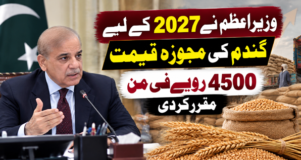 وزیراعظم نے 2027 کے لیے گندم کی مجوزہ قیمت 4500 روپے فی من مقرر کردی