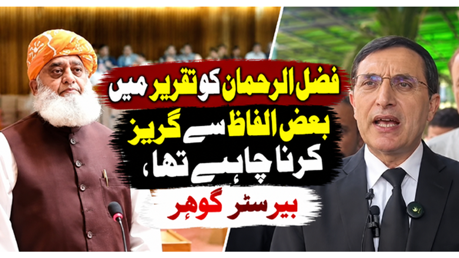 فضل الرحمان کو تقریر میں بعض الفاظ سے گریز کرنا چاہیے تھا،  بیرسٹر گوہر