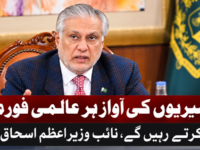 کشمیریوں کی آواز ہر عالمی فورم پر بلند کرتے رہیں گے، نائب وزیراعظم اسحاق ڈار
