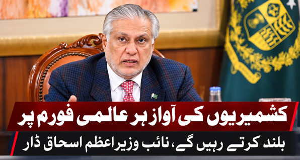 کشمیریوں کی آواز ہر عالمی فورم پر بلند کرتے رہیں گے، نائب وزیراعظم اسحاق ڈار