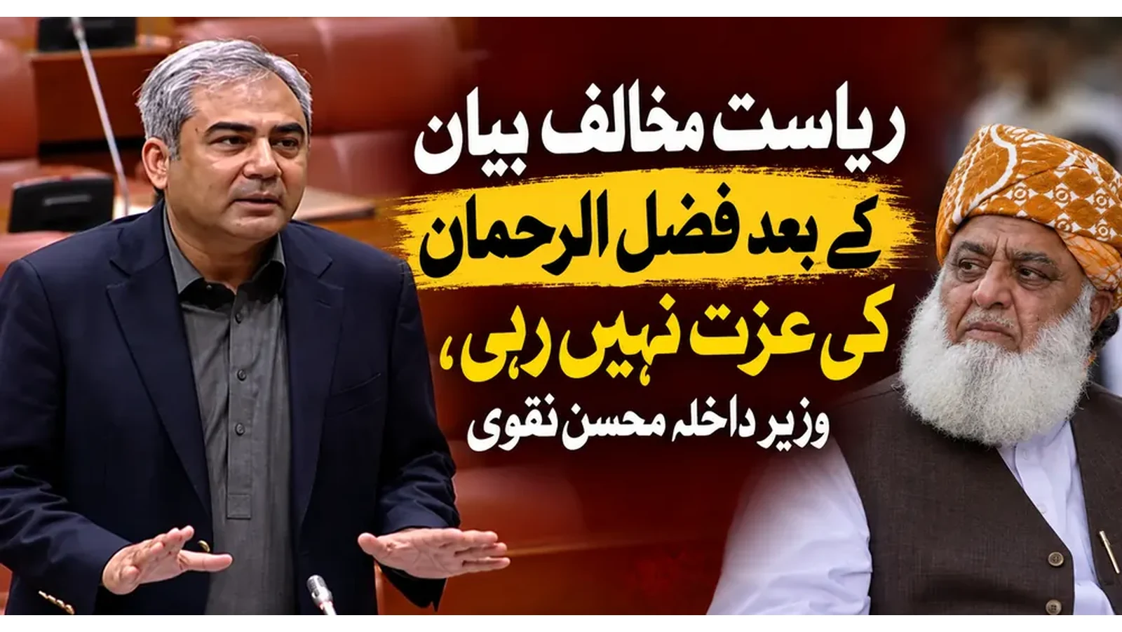 ریاست مخالف بیان کے بعد فضل الرحمان کی عزت نہیں رہی، وزیر داخلہ محسن نقوی